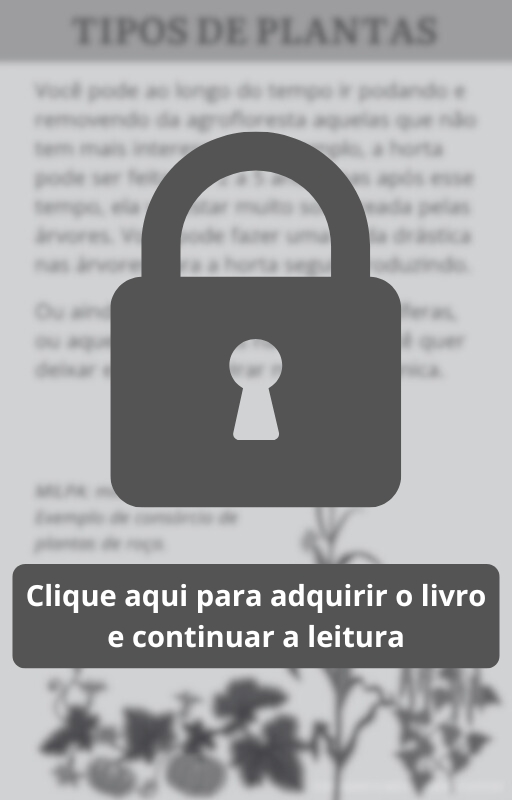 Em processo - Agrofloresta (3)