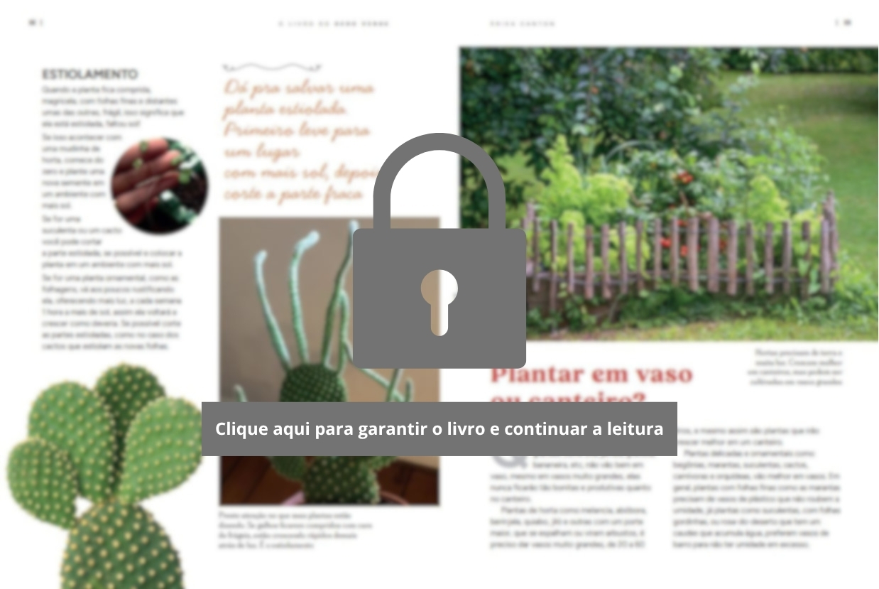 Clique aqui para garantir o livro e continuar a leitura (1)