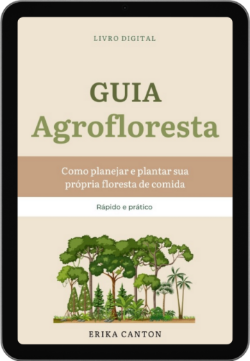 Em processo - Agrofloresta